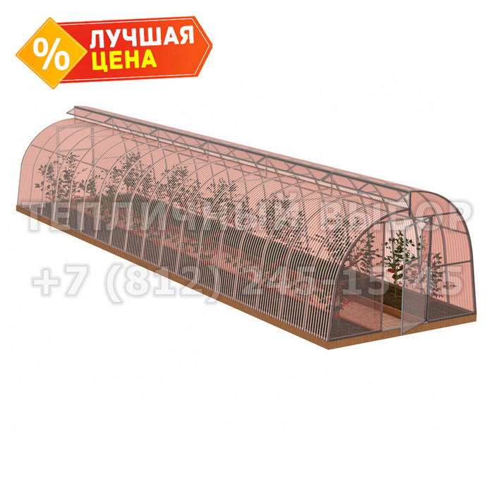 Теплица из поликарбоната-фито Усиленная По Митлайдеру 3х12 h=2.2 м профиль 25х25 мм